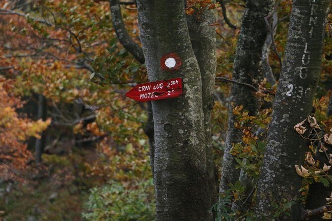 Day Hike in National Park Risnjak from Zagreb - Schlosser Hut hike: climb smart, then go for the views