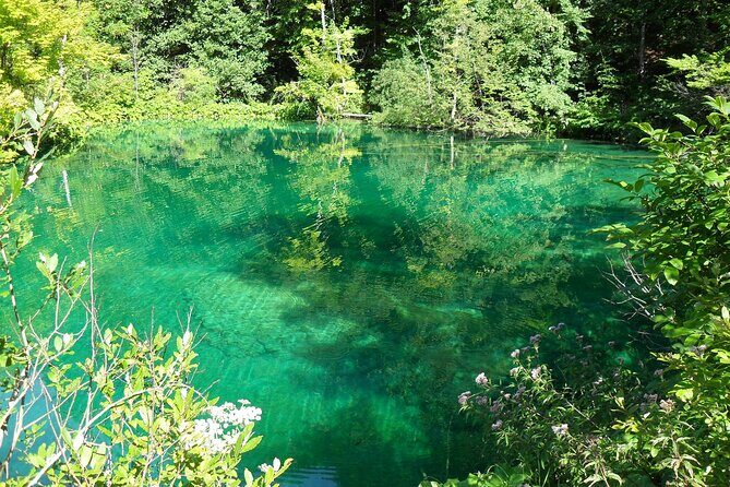 Plitvice Lakes and Rastoke Private Day Tour from Zagreb - Who this private tour fits best